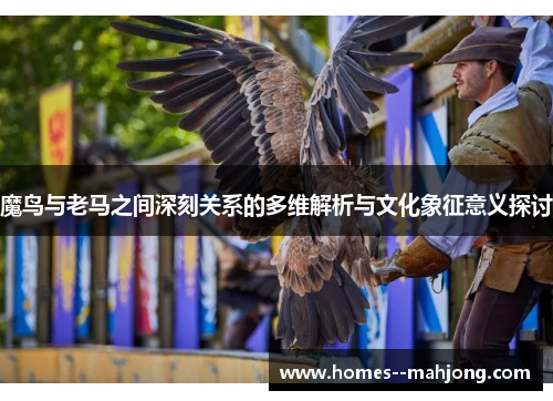 魔鸟与老马之间深刻关系的多维解析与文化象征意义探讨