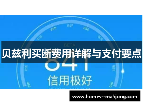 贝兹利买断费用详解与支付要点